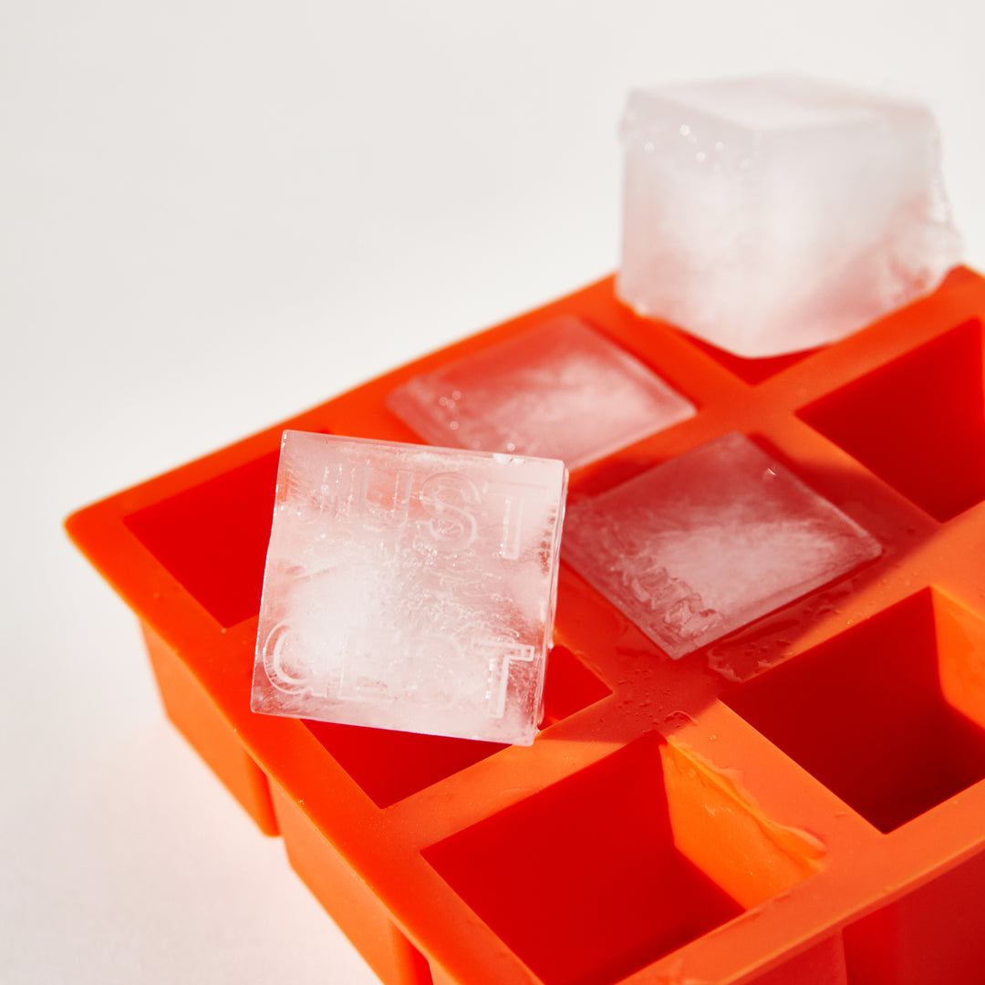 Healthy Wealthy Ice Cube Trays