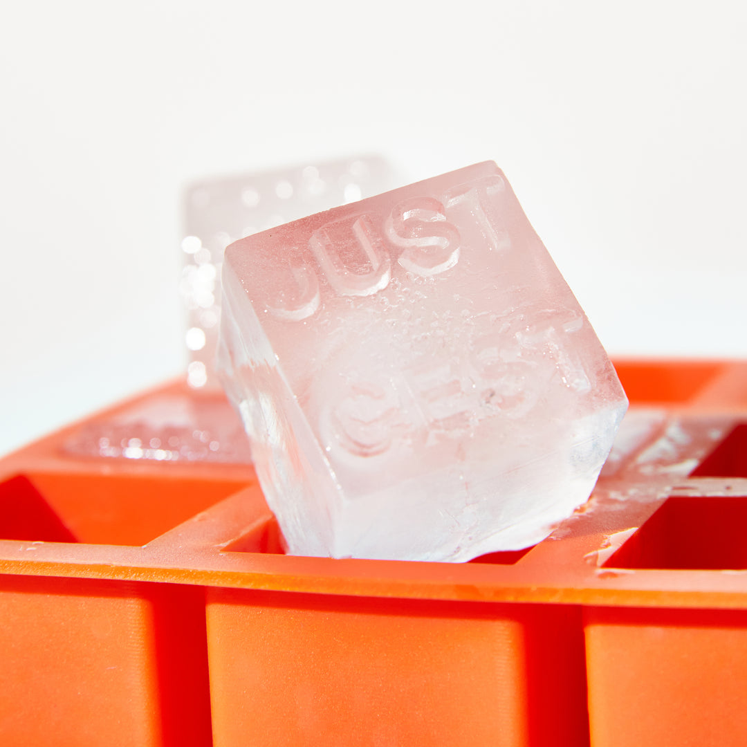 Healthy Wealthy Ice Cube Trays